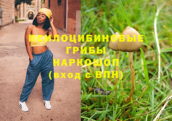спайс Заводоуковск